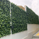 Lemon Leaf Artificial Hedge Panel / Fake Vertical Garden 1m x 1m UV Resistant - Designer Vertical Gardens artificial garden wall plants artificial green wall australia
