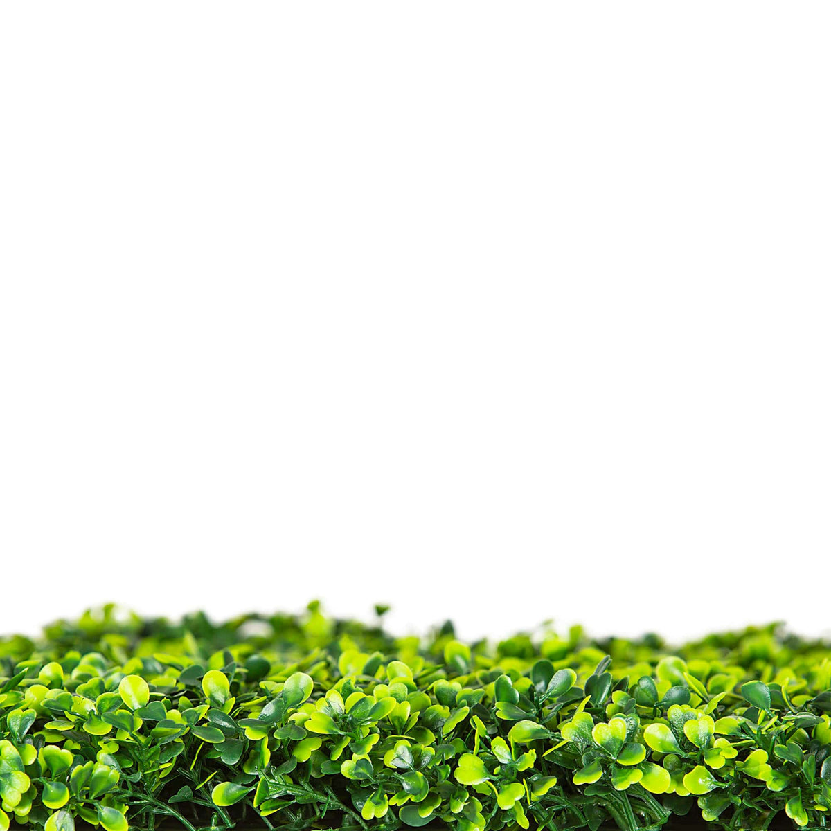 Light English Boxwood Artificial Hedge Panel 1m x 1m – SGS UV Resistant — gallery image