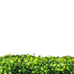Artificial green grass with a white background