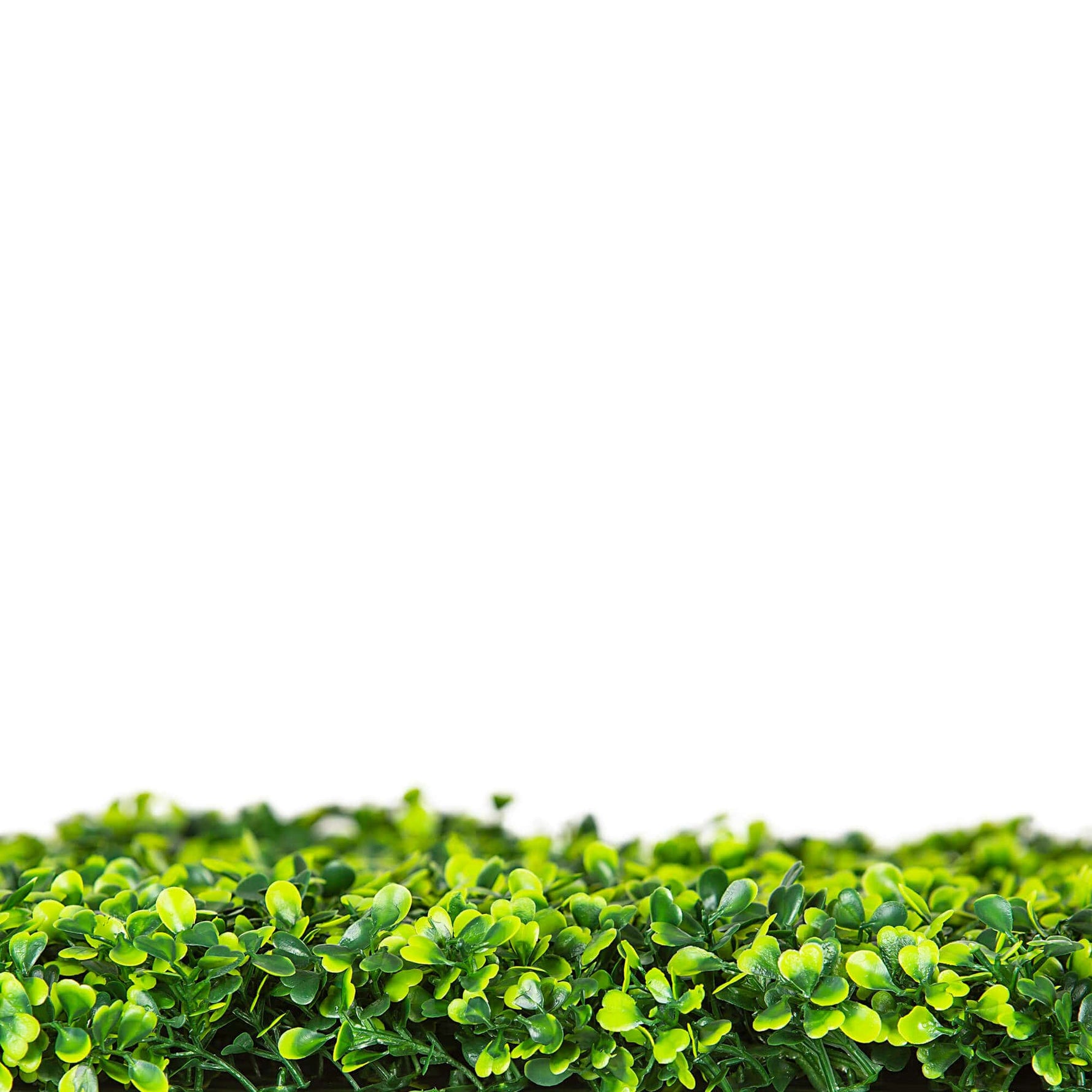 Artificial green grass with a white background