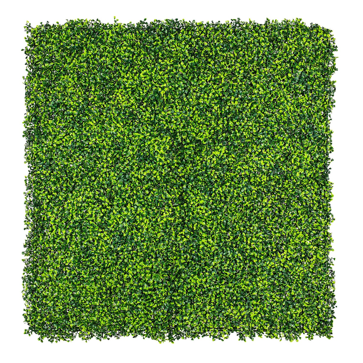 Light English Boxwood Artificial Hedge Panel 1m x 1m – SGS UV Resistant - Designer Vertical Gardens artificial garden wall plants artificial green wall australia