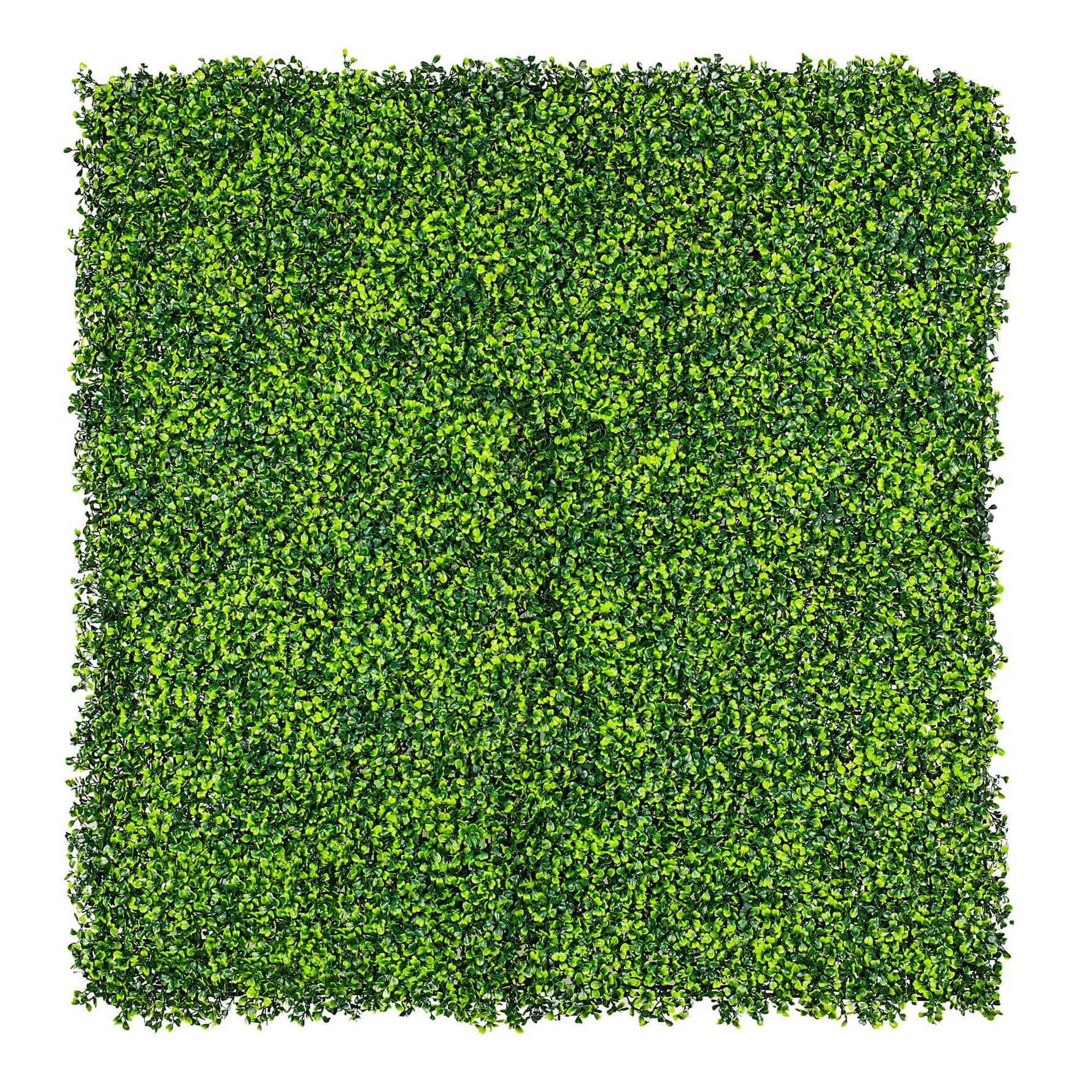 Square piece of artificial greenery on a white background