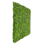 Artificial green wall panel on a white background