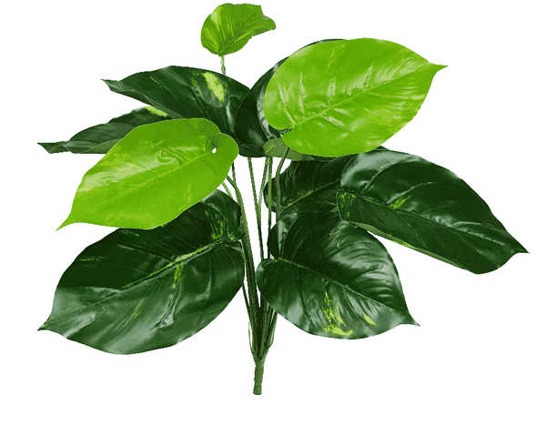 Lilly Pilly Stem - 32cm — gallery image 4