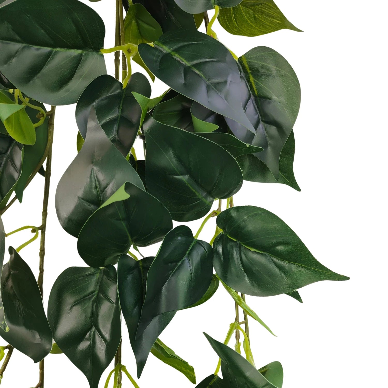 Lush Hanging Philodendron Trail – UV Protected Greenery (110cm) - Designer Vertical Gardens