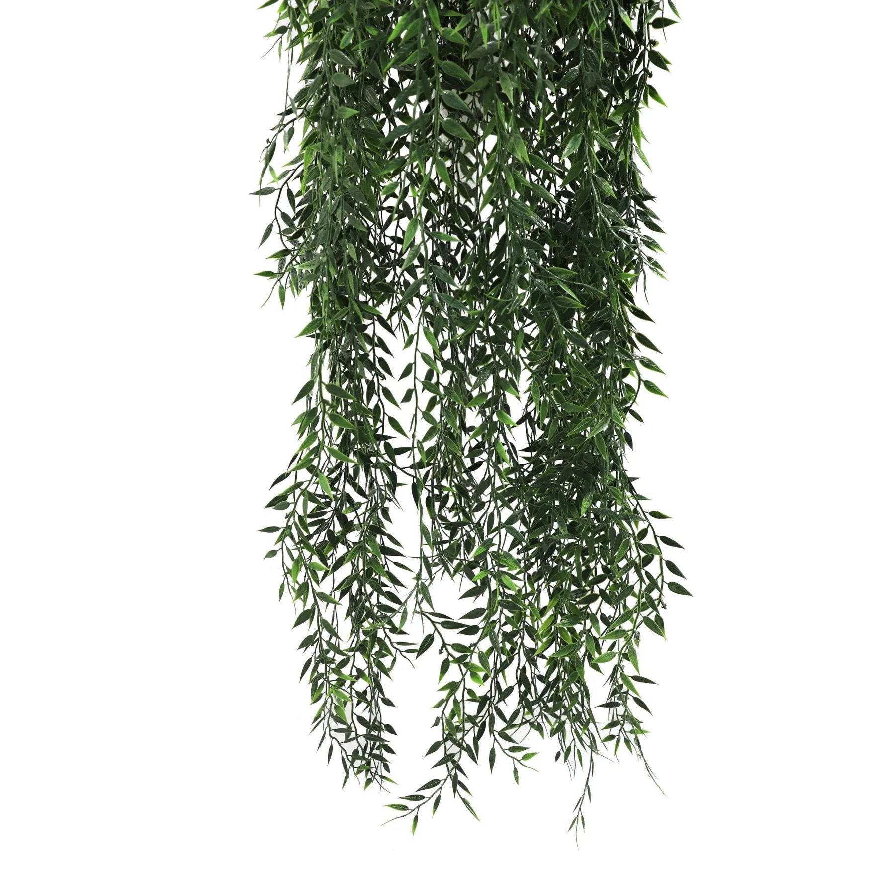 Artificial hanging greenery on a white background