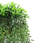 Hanging green plant with a white background