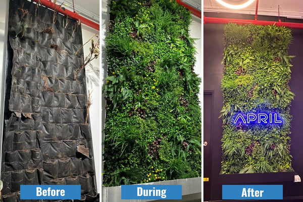 Luxury Country Fern Vertical Garden Green Wall Panel 1m x 1m – SGS UV Resistant