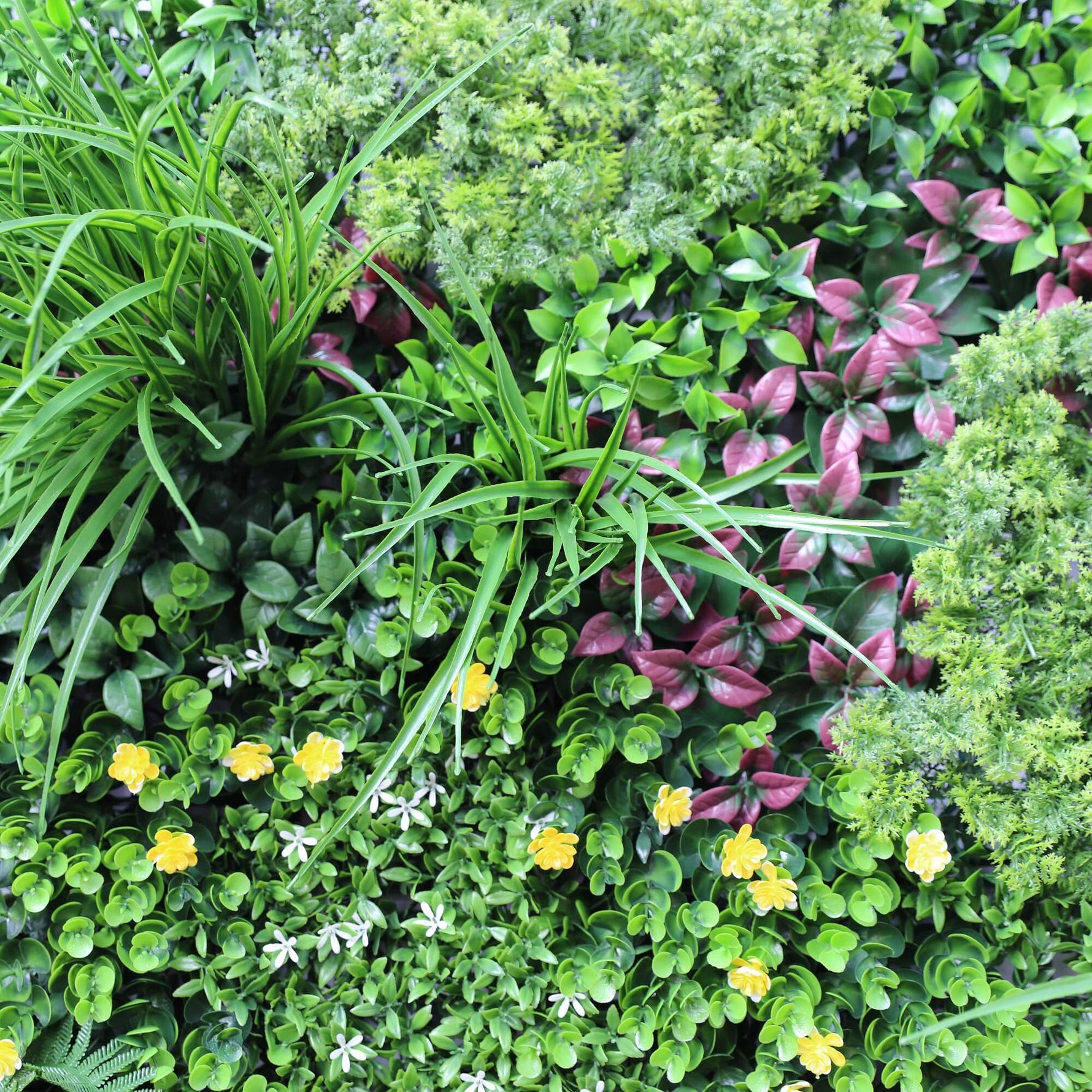 Close-up of a variety of green plants with some yellow flowers.