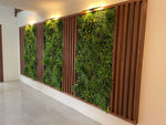 Living green wall with wooden slats in a modern indoor setting