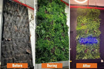 Before, during, and after images of a living wall installation with 'APRIL' branding.