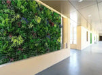 Modern office hallway with a green living wall