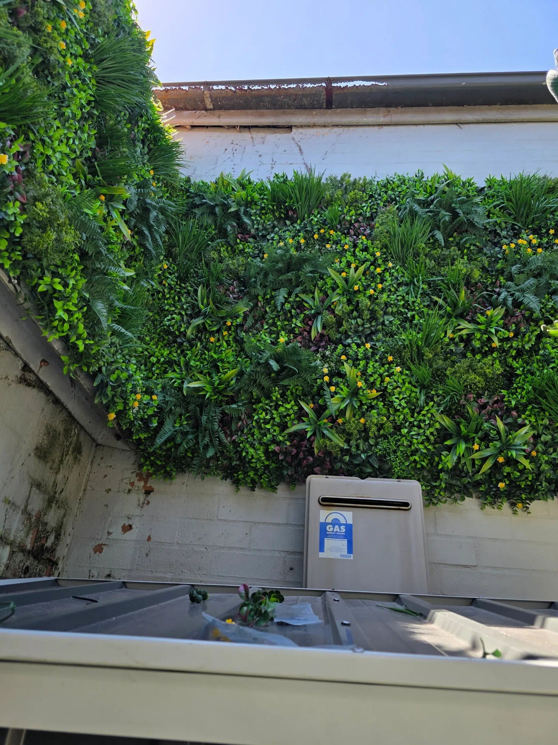 Green wall with plants on a building exterior, featuring a gas meter.