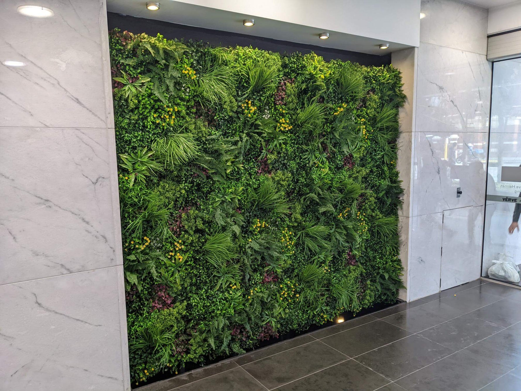 Green living wall in an indoor setting with marble walls and a glass door.