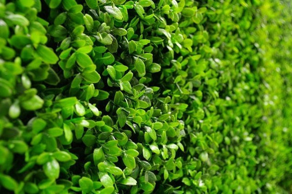 Luxury Dense Buxus Artificial Hedge Tile 1m x 1m – SGS UV Resistant — gallery image 12