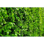Luxury Dense Buxus Artificial Hedge Tile 1m x 1m – SGS UV Resistant - Designer Vertical Gardens artificial garden wall plants artificial green wall australia