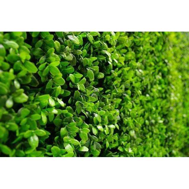 Luxury Dense Buxus Artificial Hedge Tile 1m x 1m – SGS UV Resistant - Designer Vertical Gardens artificial garden wall plants artificial green wall australia