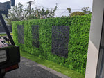 Artificial green wall with decorative black panels on a building exterior.