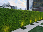 Luxury Dense Fern Vertical Garden Green Wall Panel 1m x 1m – SGS UV Resistant - Designer Vertical Gardens artificial garden wall plants artificial green wall australia
