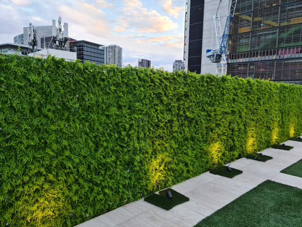 Luxury Dense Fern Vertical Garden Green Wall Panel 1m x 1m – SGS UV Resistant — gallery image 17