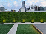 Luxury Dense Fern Vertical Garden Green Wall Panel 1m x 1m – SGS UV Resistant - Designer Vertical Gardens artificial garden wall plants artificial green wall australia