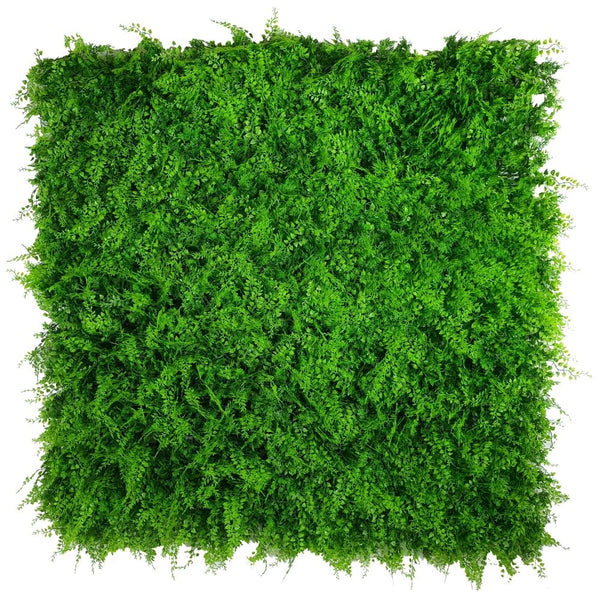 Luxury Dense Fern Vertical Garden Green Wall Panel 1m x 1m – SGS UV Resistant - image 11