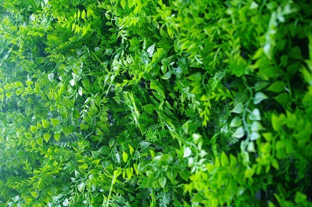 Luxury Dense Fern Vertical Garden Green Wall Panel 1m x 1m – SGS UV Resistant - Designer Vertical Gardens artificial garden wall plants artificial green wall australia