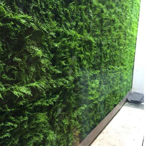 Luxury Dense Fern Vertical Garden Green Wall Panel 1m x 1m – SGS UV Resistant - image 20