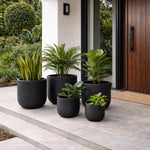 Black planters with green plants on a patio area outside a modern house.