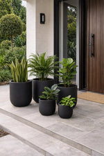 Black planters with green plants on a patio area outside a modern house.