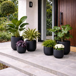 Collection of potted plants on a patio in front of a modern house entrance.