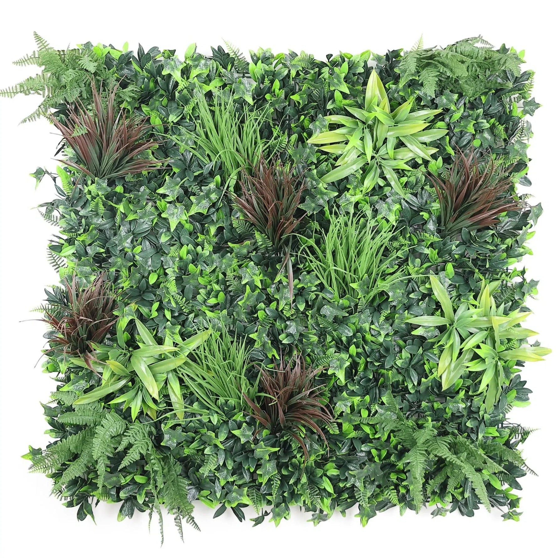 Artificial green wall panel with various types of greenery on a white background