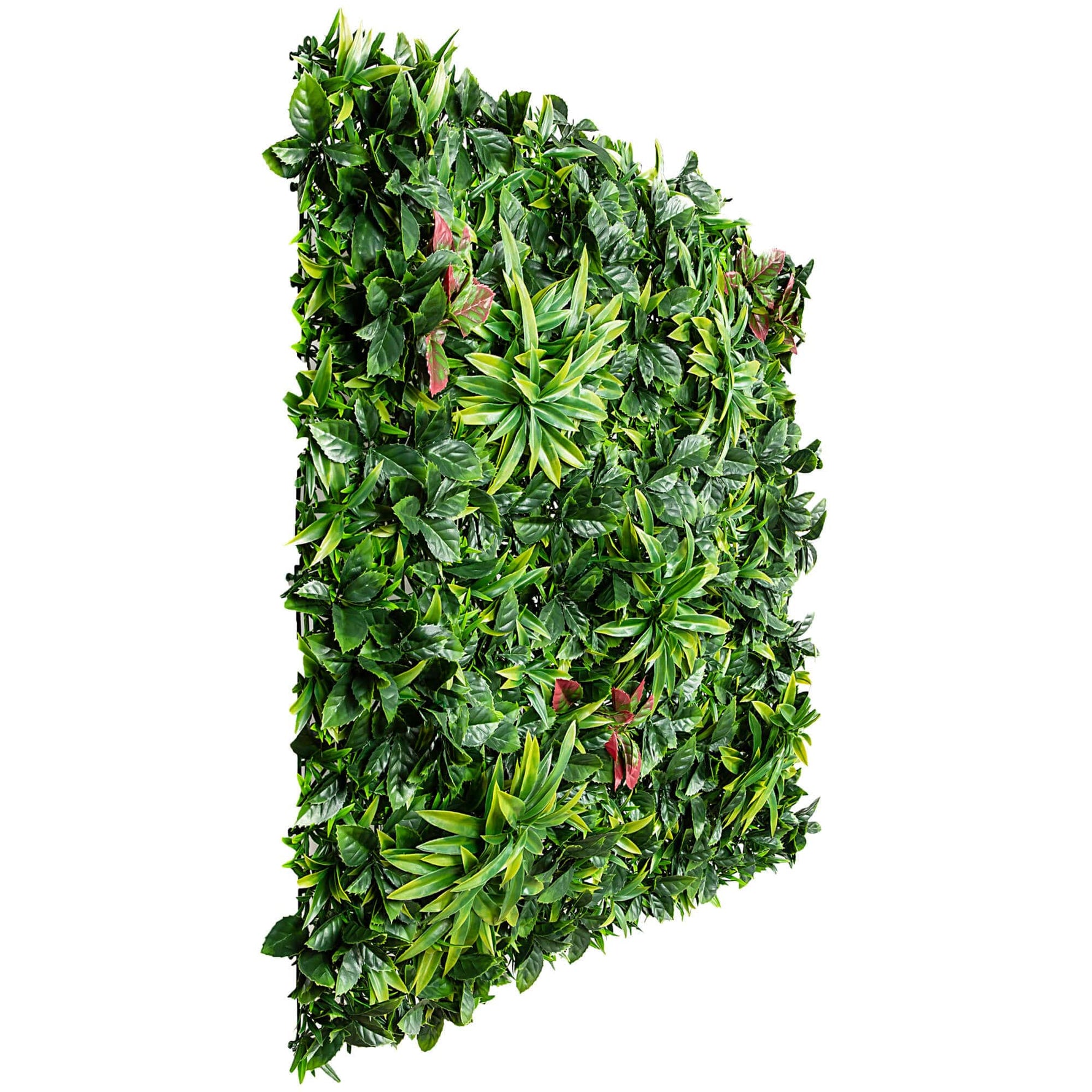 Artificial green wall panel with leafy texture on a white background