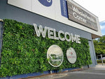 Building exterior with green wall and 'WholeHealth Corner' sign