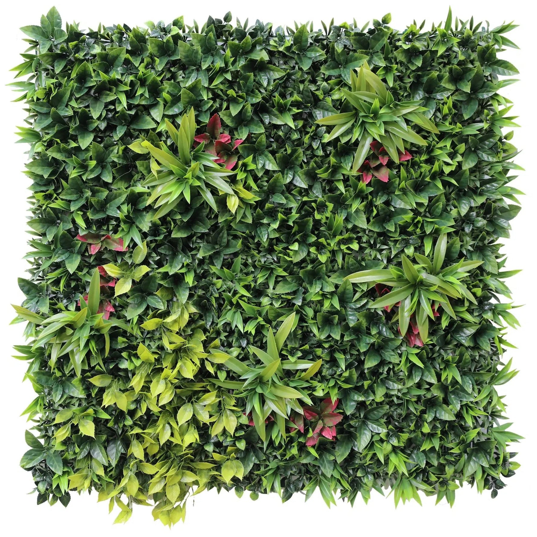 Artificial green wall panel with a mix of green and pink leaves on a white background