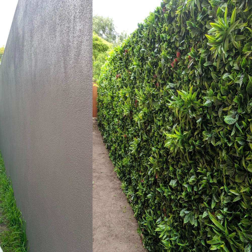 Green hedge next to a gray wall
