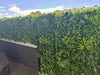 Luxury Green Sensation Artificial Vertical Garden / Fake Green Wall 1m x 1m UV Resistant - Designer Vertical Gardens artificial garden wall plants artificial green wall australia