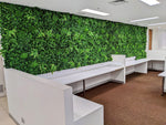 Modern office interior with green wall and white desks.