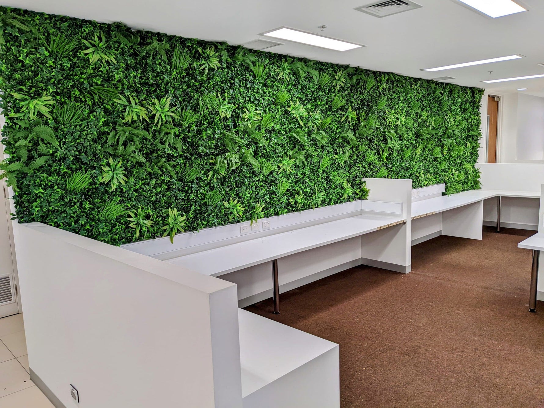 Modern office interior with green wall and white desks.