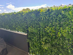 Artificial green wall panel on a building exterior with a clear sky background