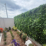 Luxury Green Sensation Vertical Garden Green Wall Panel 1m x 1m – SGS UV Resistant (1 Week Price Reduction) - Designer Vertical Gardens artificial garden wall plants artificial green wall australia