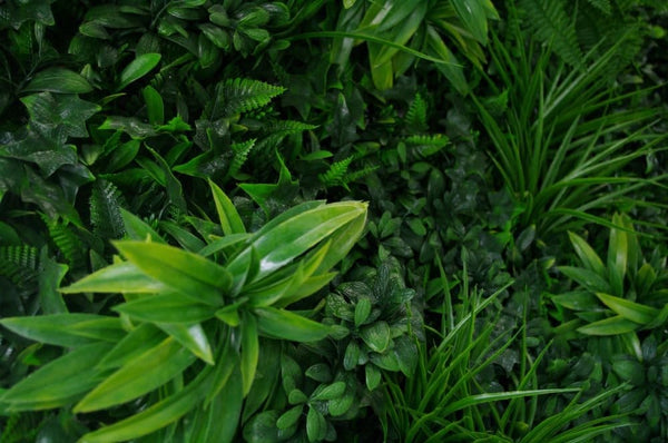 Luxury Green Sensation Vertical Garden Green Wall Panel 1m x 1m – SGS UV Resistant (1 Week Price Reduction) — gallery image 11