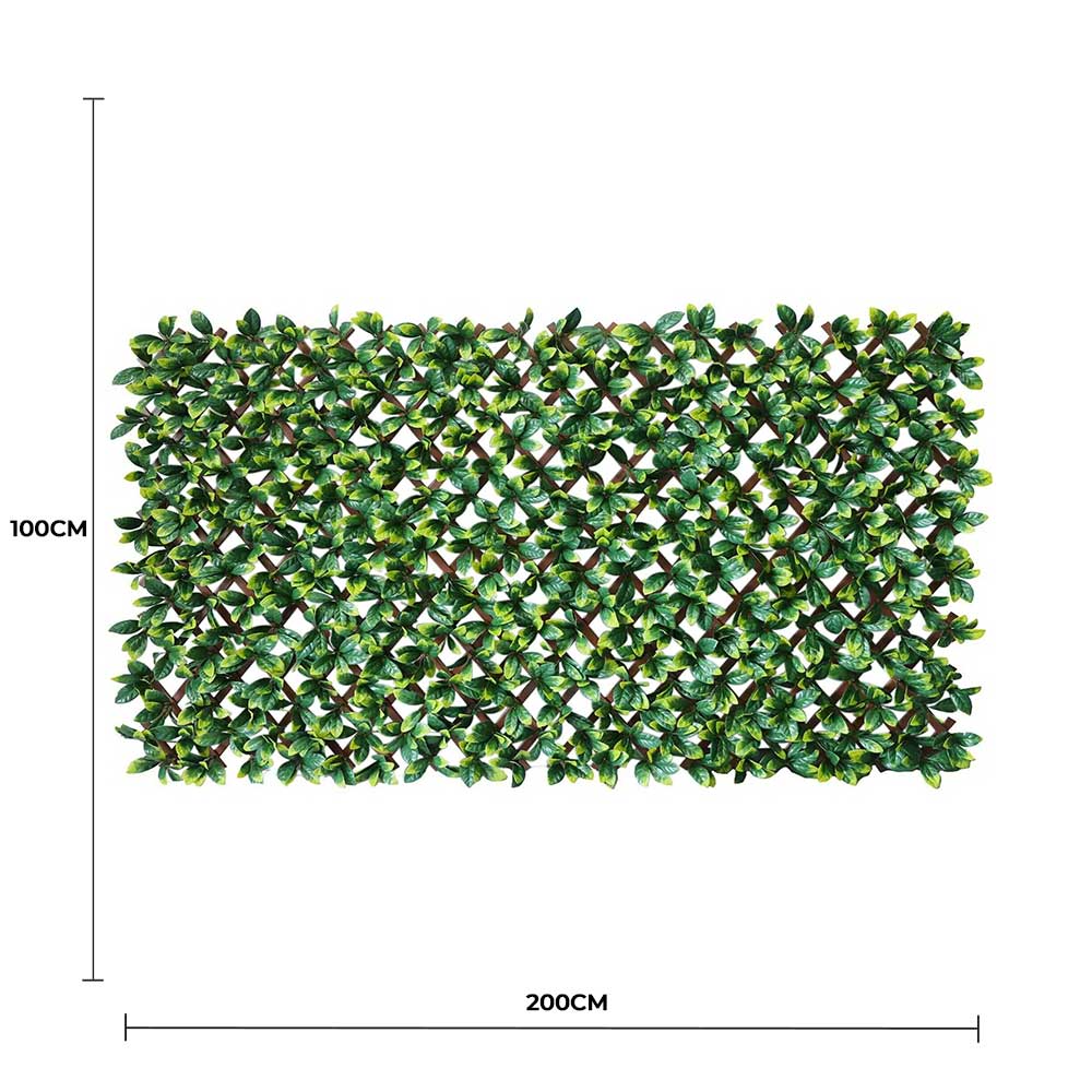 Artificial green hedge panel with dimensions on a white background