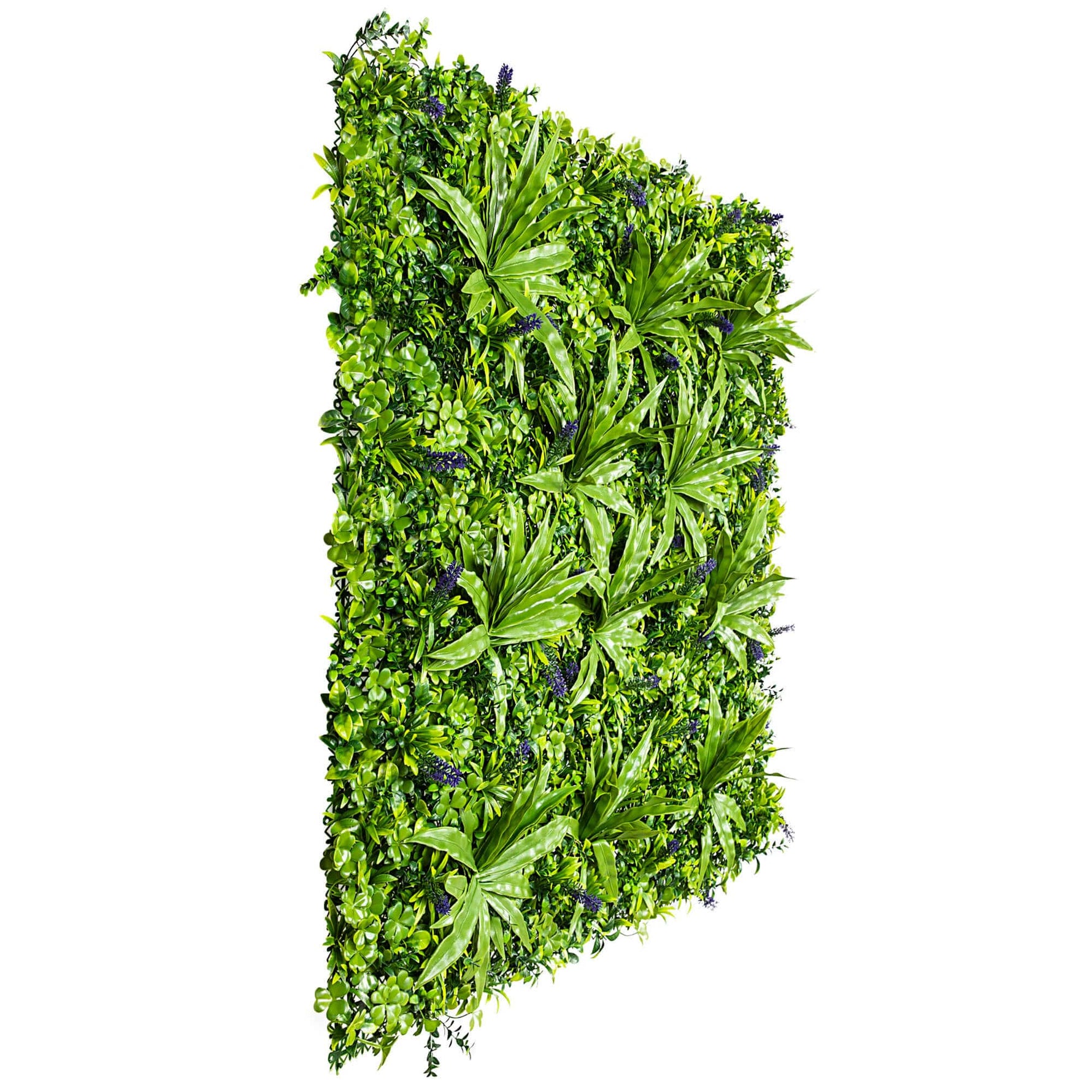 Artificial green leafy wall panel on a white background