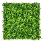 Square arrangement of green plants on a white background