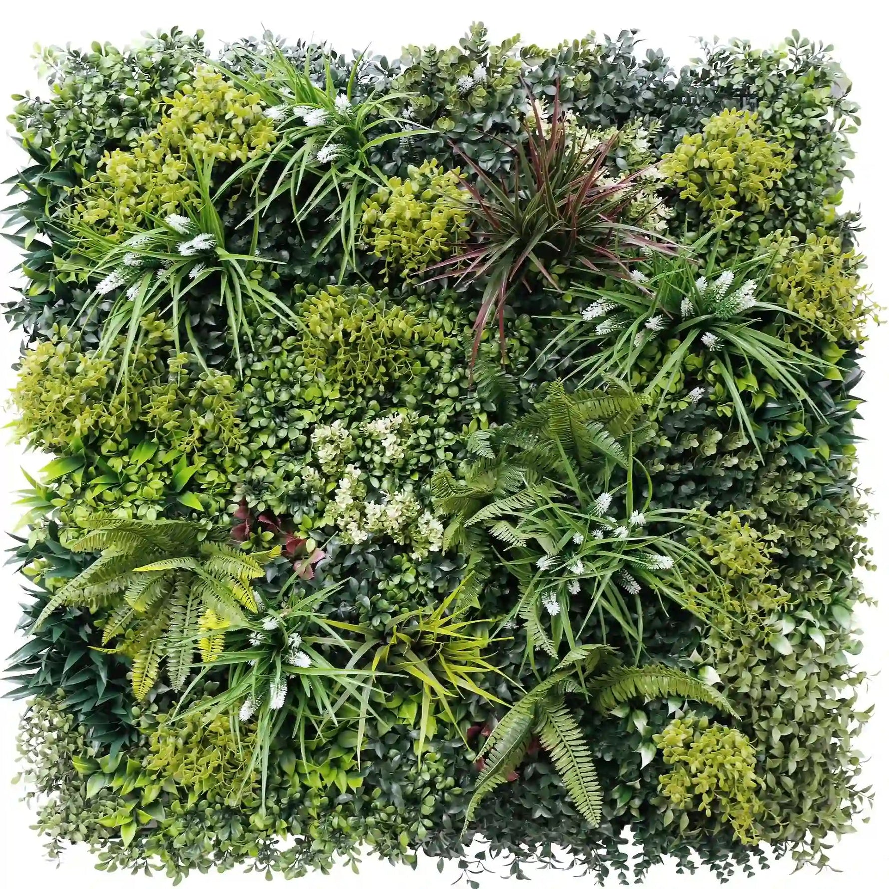 Artificial green wall with various types of plants on a white background