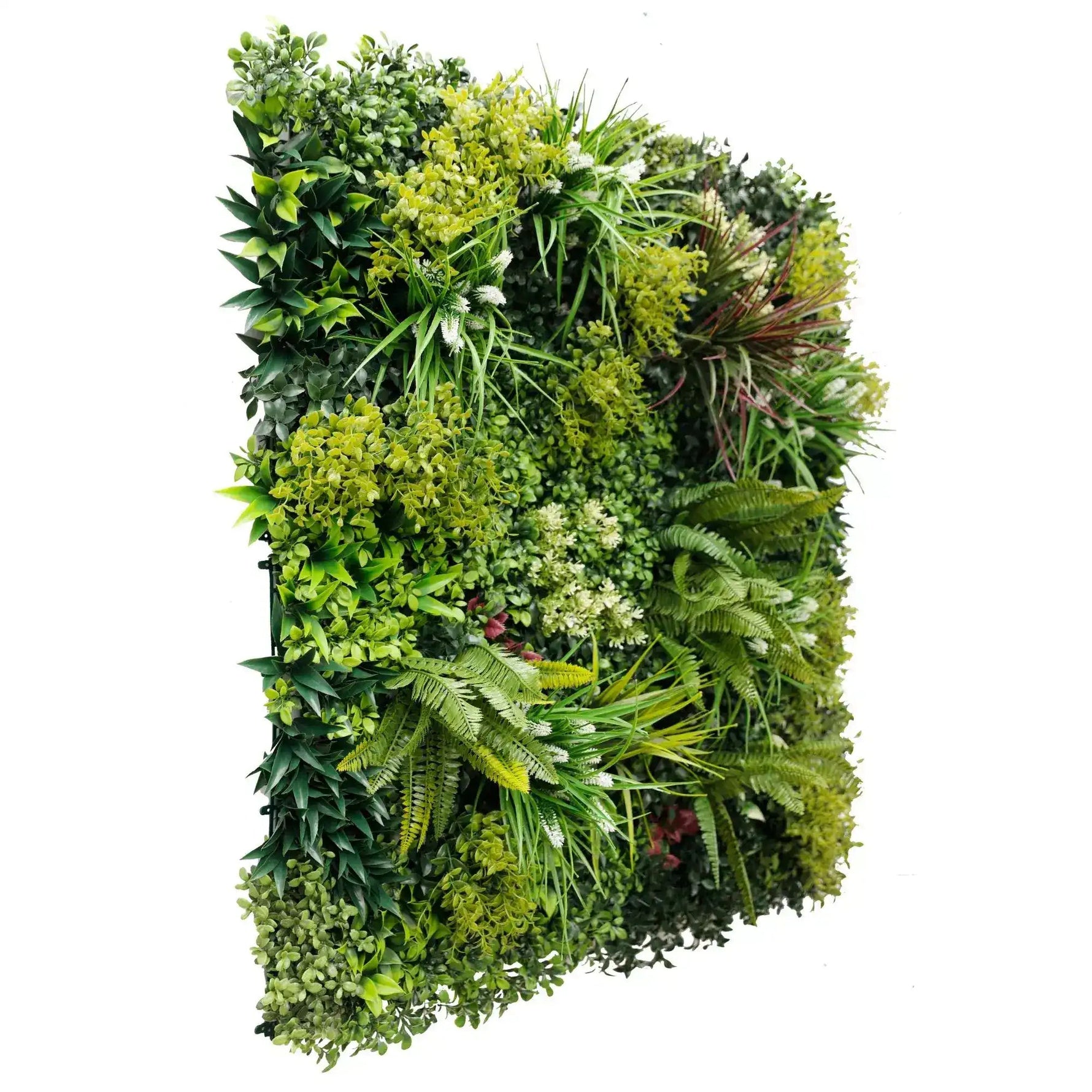 Artificial green wall with various types of plants on a white background