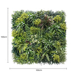 Square arrangement of green plants with dimensions indicated on a white background
