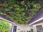 Green wall in a modern indoor setting with ceiling lights
