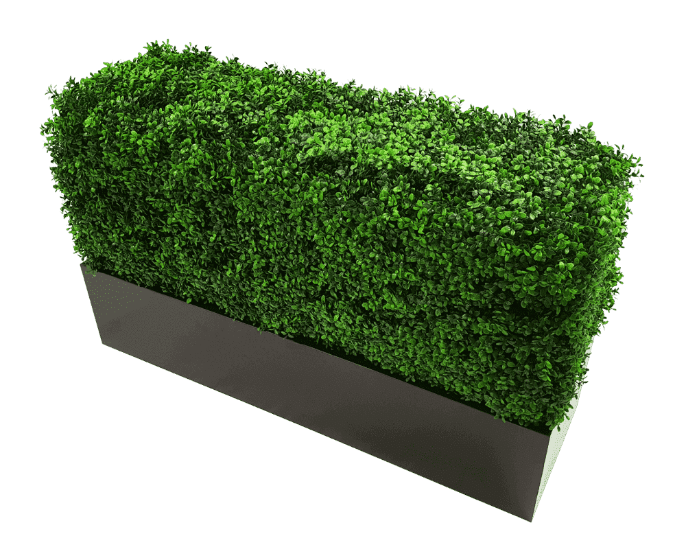 Rectangular artificial green hedge with a black base on a transparent background